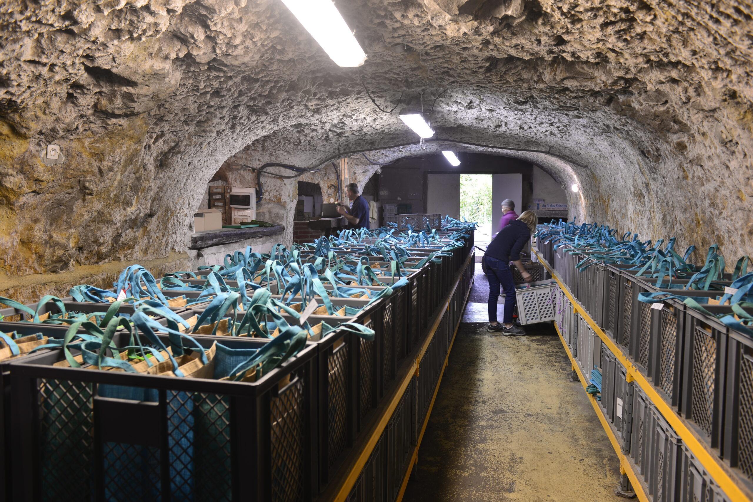 Photographie de la cave où sont préparés et stockés les paniers Au Fil des Saisons, au frais et à l'ombre.